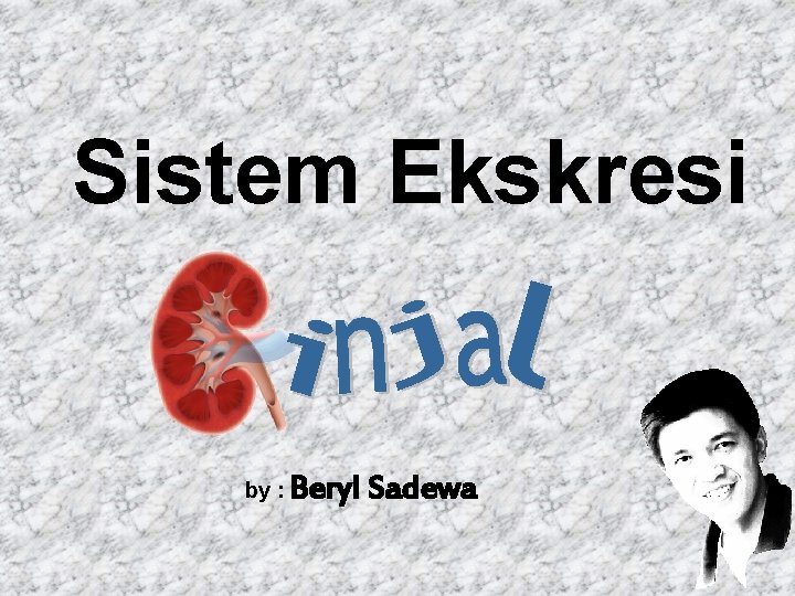 Sistem Ekskresi by : Beryl Sadewa 