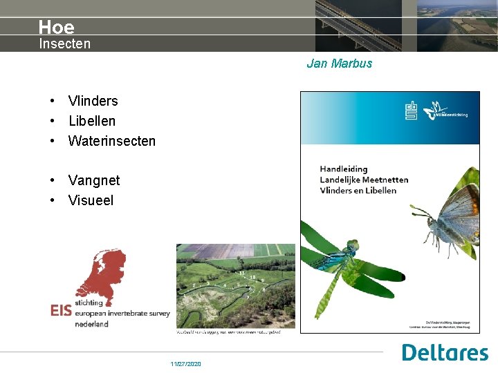 Hoe Insecten Jan Marbus • Vlinders • Libellen • Waterinsecten • Vangnet • Visueel
