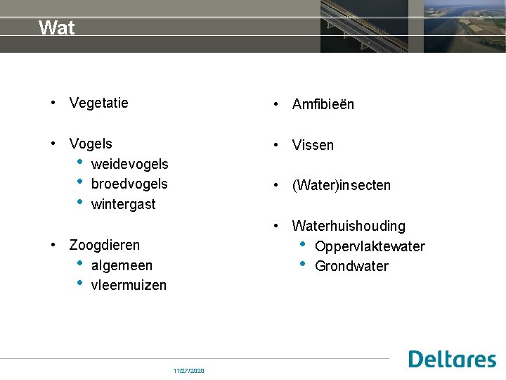 Wat • Vegetatie • Amfibieën • Vogels • weidevogels • broedvogels • wintergast •