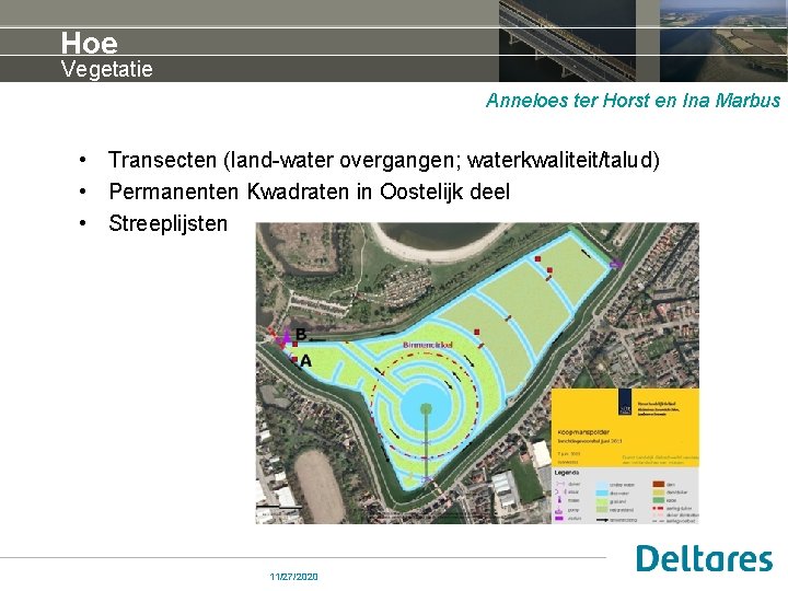 Hoe Vegetatie Anneloes ter Horst en Ina Marbus • Transecten (land-water overgangen; waterkwaliteit/talud) •