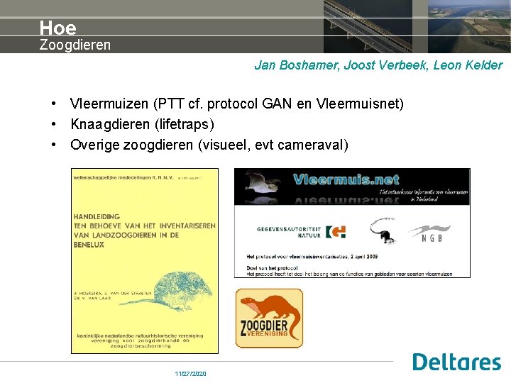 Hoe Zoogdieren Jan Boshamer, Joost Verbeek, Leon Kelder • Vleermuizen (PTT cf. protocol GAN