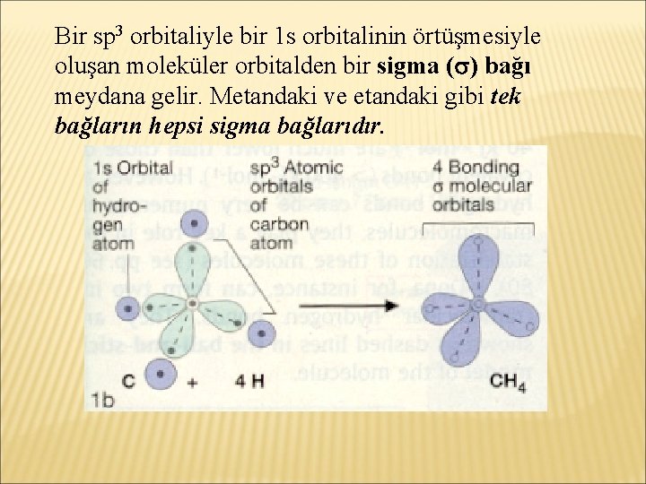 Bir sp 3 orbitaliyle bir 1 s orbitalinin örtüşmesiyle oluşan moleküler orbitalden bir sigma