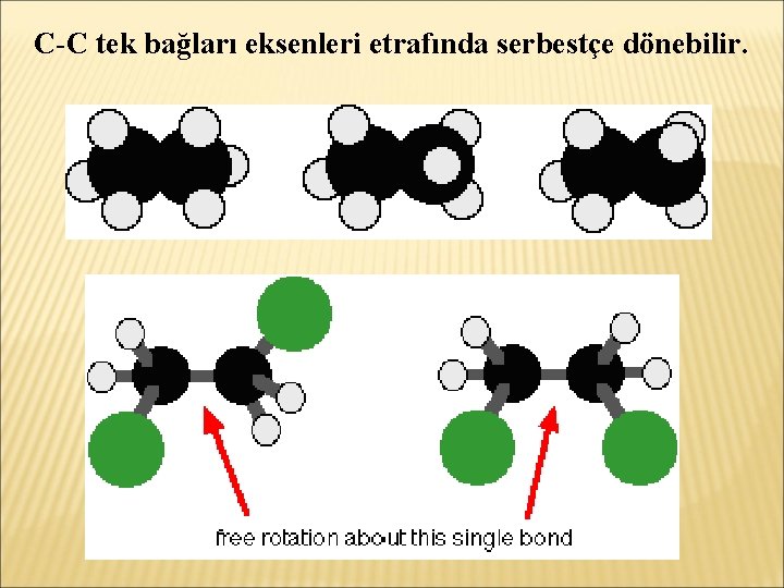 C-C tek bağları eksenleri etrafında serbestçe dönebilir. 