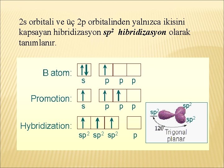 2 s orbitali ve üç 2 p orbitalinden yalnızca ikisini kapsayan hibridizasyon sp 2