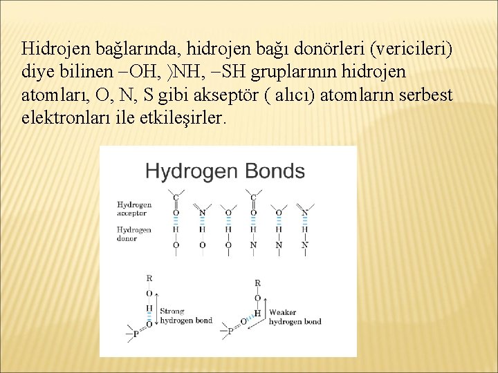 Hidrojen bağlarında, hidrojen bağı donörleri (vericileri) diye bilinen OH, NH, SH gruplarının hidrojen atomları,