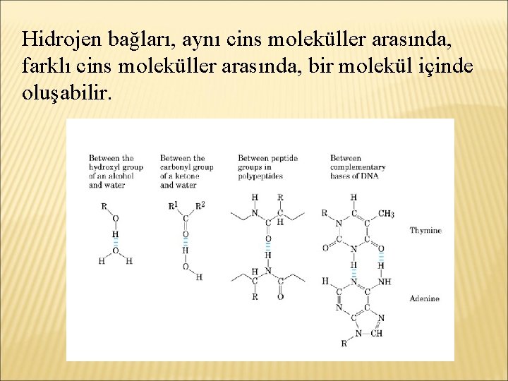 Hidrojen bağları, aynı cins moleküller arasında, farklı cins moleküller arasında, bir molekül içinde oluşabilir.