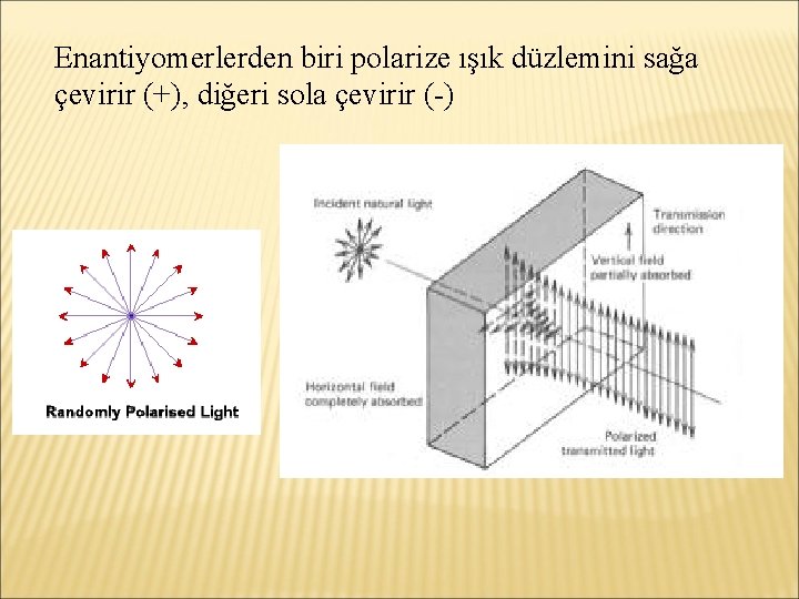 Enantiyomerlerden biri polarize ışık düzlemini sağa çevirir (+), diğeri sola çevirir (-) 