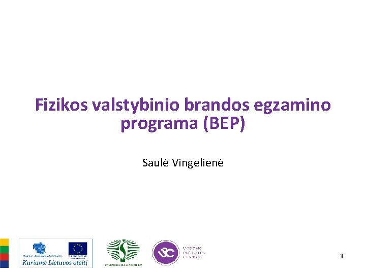 Fizikos valstybinio brandos egzamino programa (BEP) Saulė Vingelienė 1 