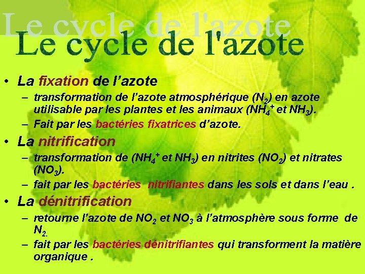  • La fixation de l’azote – transformation de l’azote atmosphérique (N 2) en