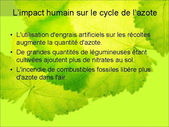 L’impact humain sur le cycle de l’azote • L'utilisation d'engrais artificiels sur les récoltes