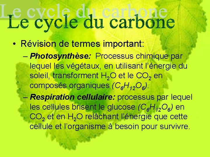  • Révision de termes important: – Photosynthèse: Processus chimique par lequel les végétaux,