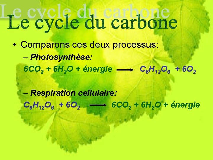  • Comparons ces deux processus: – Photosynthèse: 6 CO 2 + 6 H