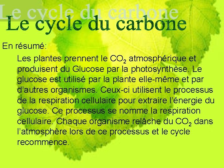 En résumé: Les plantes prennent le CO 2 atmosphérique et produisent du Glucose par