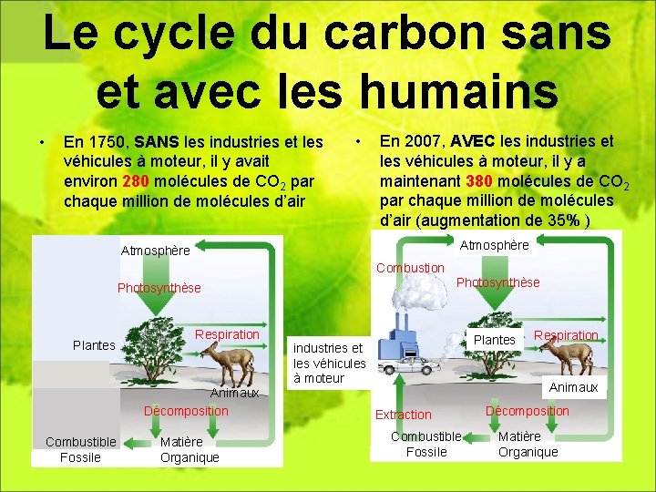 Le cycle du carbon sans et avec les humains • En 1750, SANS les