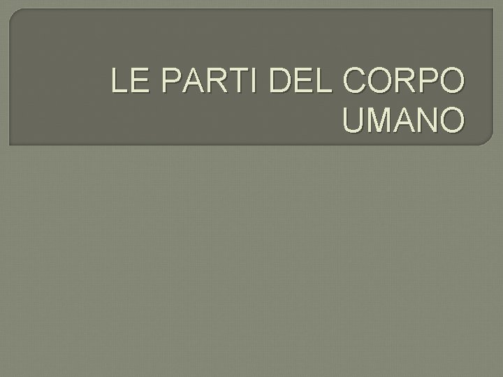 LE PARTI DEL CORPO UMANO 