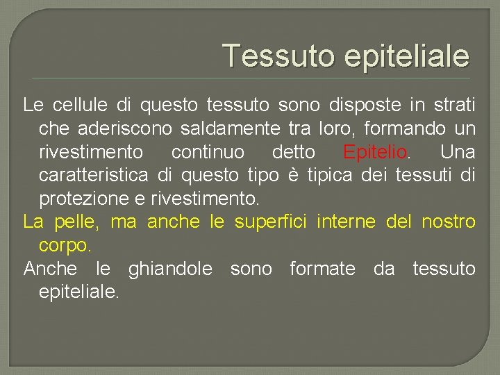 Tessuto epiteliale Le cellule di questo tessuto sono disposte in strati che aderiscono saldamente