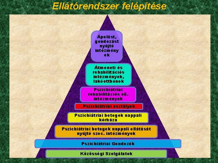 Ellátórendszer felépítése Ápolást, gondozást nyújtó intézmény ek Átmeneti és rehabilitációs intézmények, lakóotthonok Pszichiátriai rehabilitációs