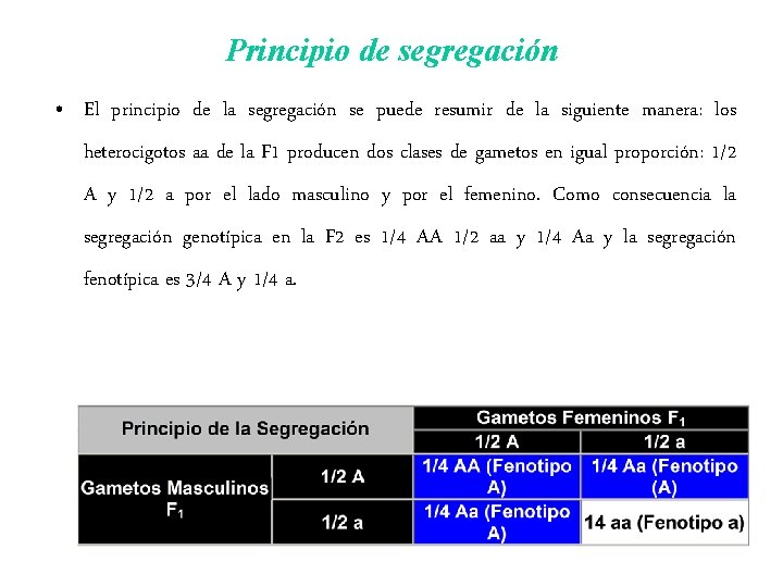 Principio de segregación • El principio de la segregación se puede resumir de la Principio de segregación • El principio de la segregación se puede resumir de la