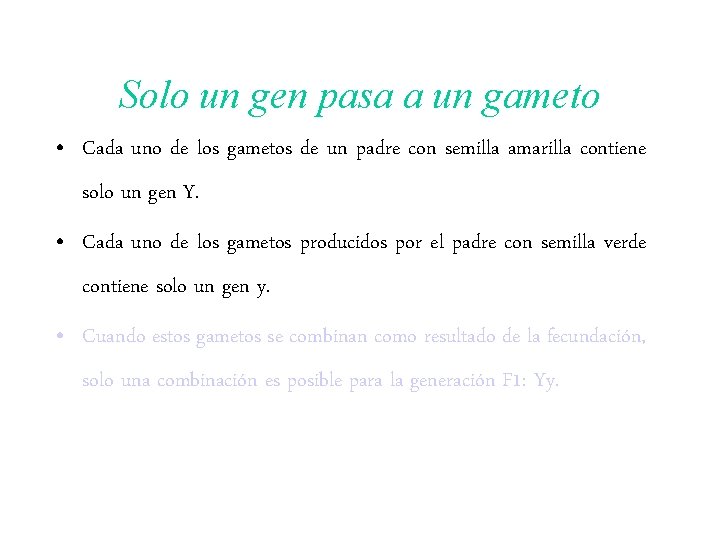 Solo un gen pasa a un gameto • Cada uno de los gametos de Solo un gen pasa a un gameto • Cada uno de los gametos de