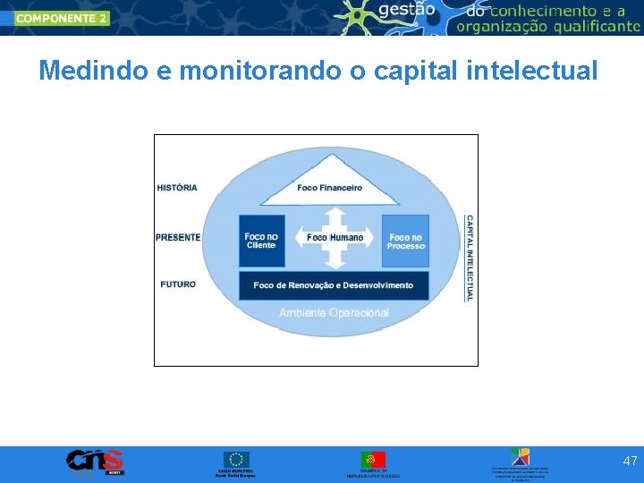 Medindo e monitorando o capital intelectual 47 Medindo e monitorando o capital intelectual 47