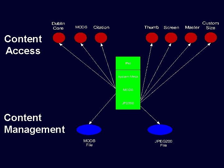 Content Access Content Management 