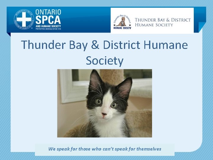 Thunder Bay & District Humane Society We speak for those who can’t speak for