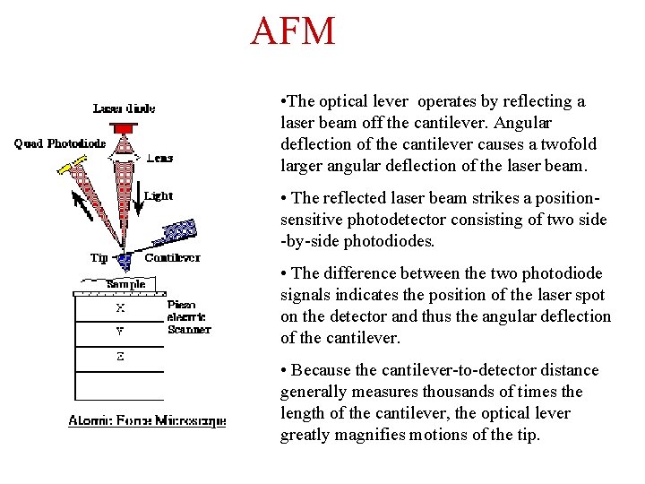 AFM • The optical lever operates by reflecting a laser beam off the cantilever.