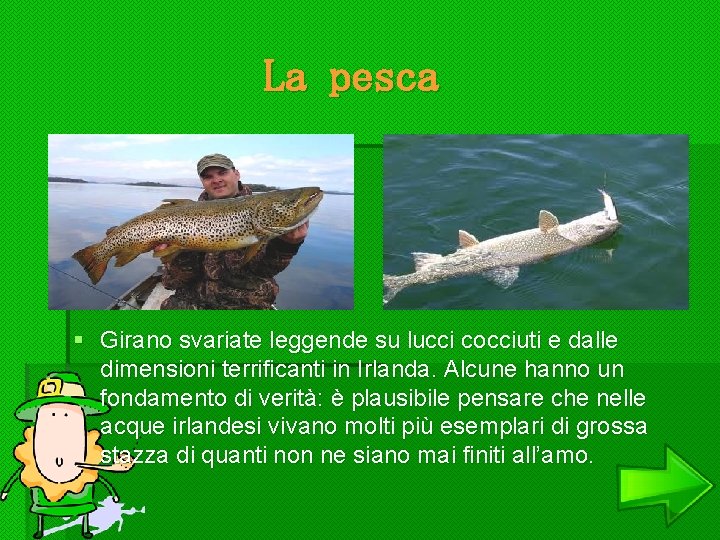 La pesca § Girano svariate leggende su lucci cocciuti e dalle dimensioni terrificanti in