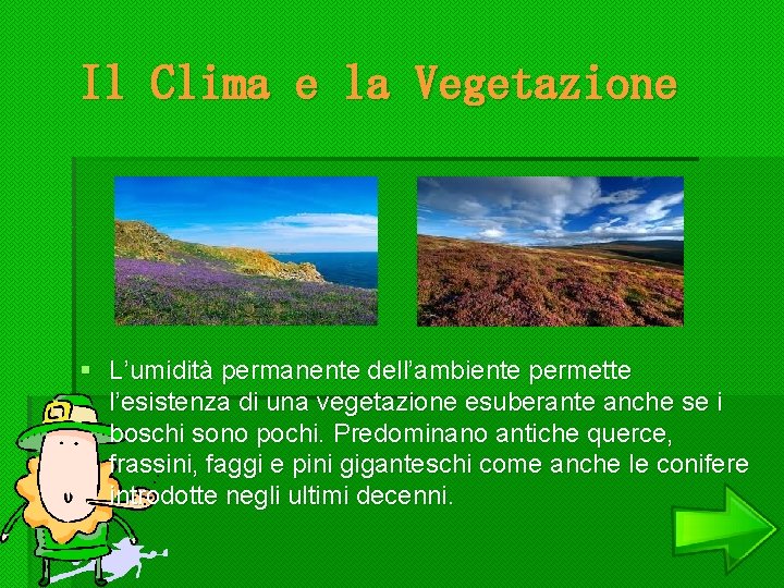 Il Clima e la Vegetazione § L’umidità permanente dell’ambiente permette l’esistenza di una vegetazione