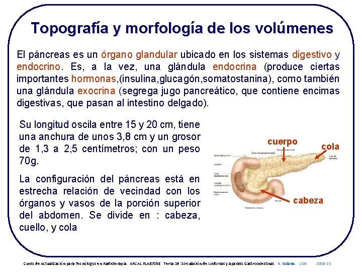 Topografía y morfología de los volúmenes El páncreas es un órgano glandular ubicado en