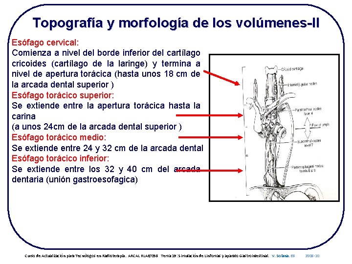 Topografía y morfología de los volúmenes-II Esófago cervical: Comienza a nivel del borde inferior
