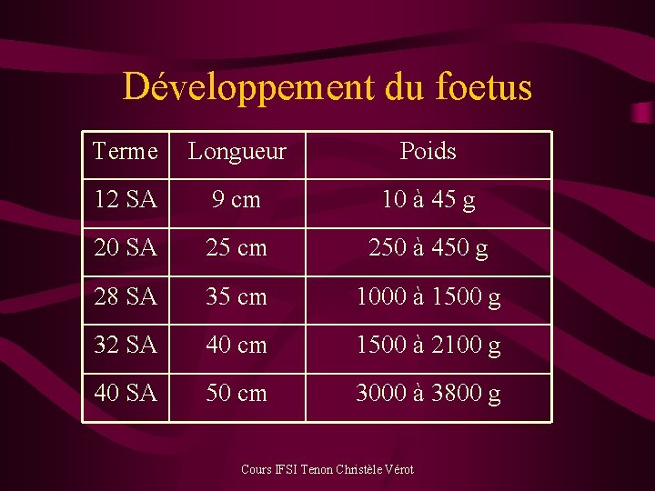 Développement du foetus Terme Longueur Poids 12 SA 9 cm 10 à 45 g