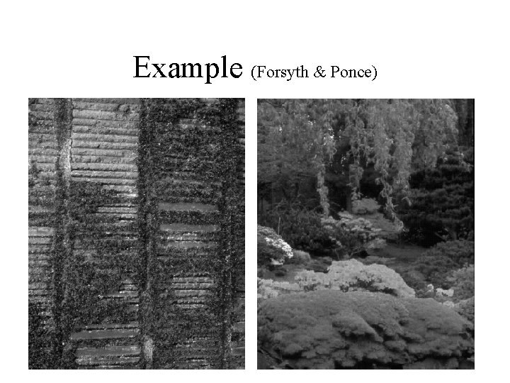 Example (Forsyth & Ponce) 