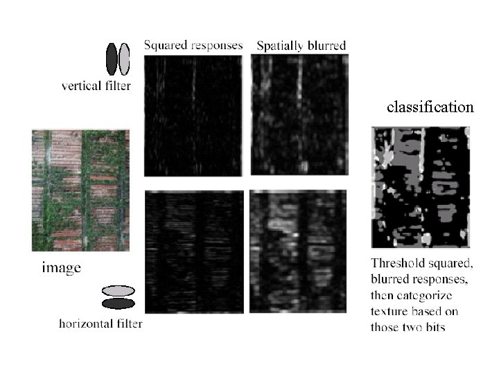 classification 