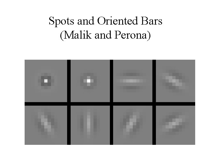 Spots and Oriented Bars (Malik and Perona) 