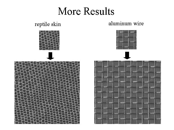 More Results reptile skin aluminum wire More Results reptile skin aluminum wire