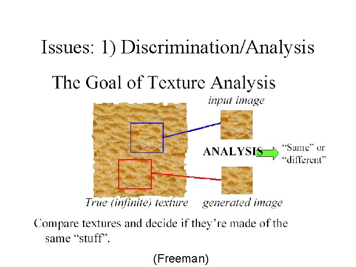 Issues: 1) Discrimination/Analysis (Freeman) 