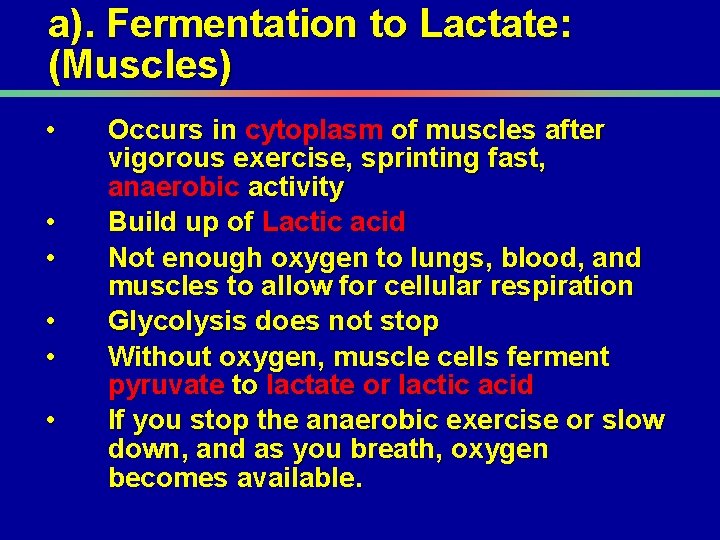 a). Fermentation to Lactate: (Muscles) • • • Occurs in cytoplasm of muscles after