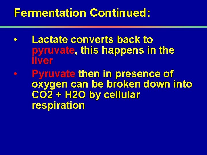 Fermentation Continued: • • Lactate converts back to pyruvate, this happens in the liver