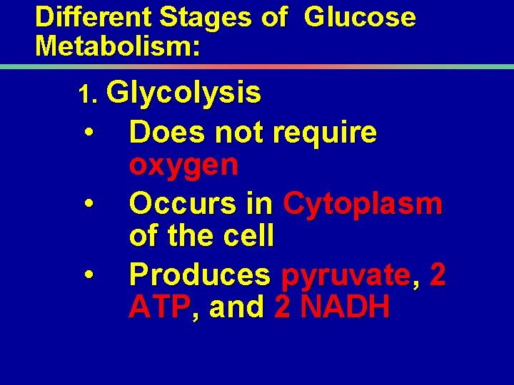Different Stages of Glucose Metabolism: 1. Glycolysis • • • Does not require oxygen