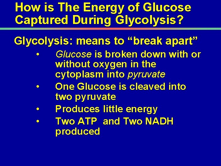 How is The Energy of Glucose Captured During Glycolysis? Glycolysis: means to “break apart”