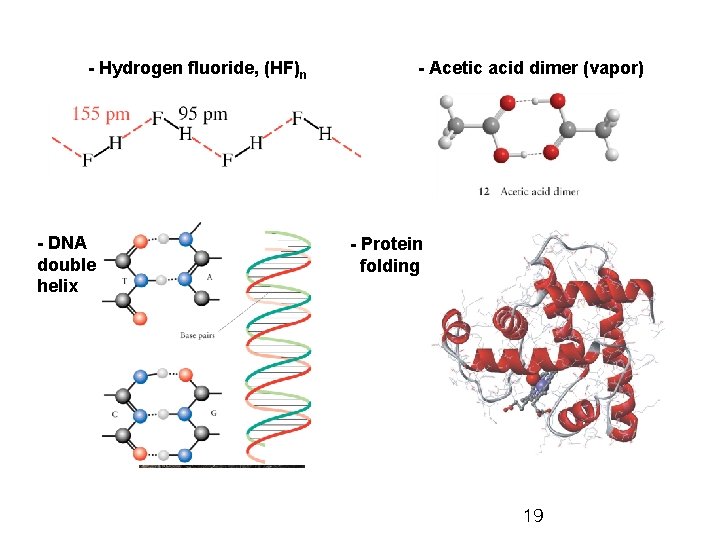 - Hydrogen fluoride, (HF)n - DNA double helix - Acetic acid dimer (vapor) -