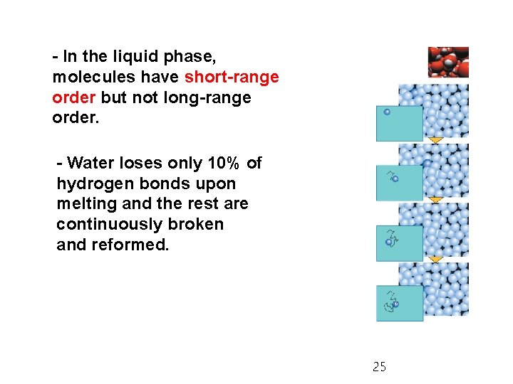 - In the liquid phase, molecules have short-range order but not long-range order. -