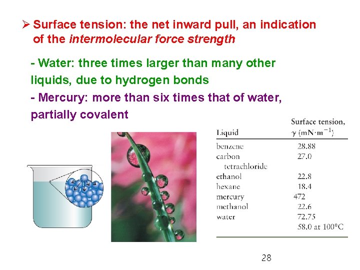 Ø Surface tension: the net inward pull, an indication of the intermolecular force strength