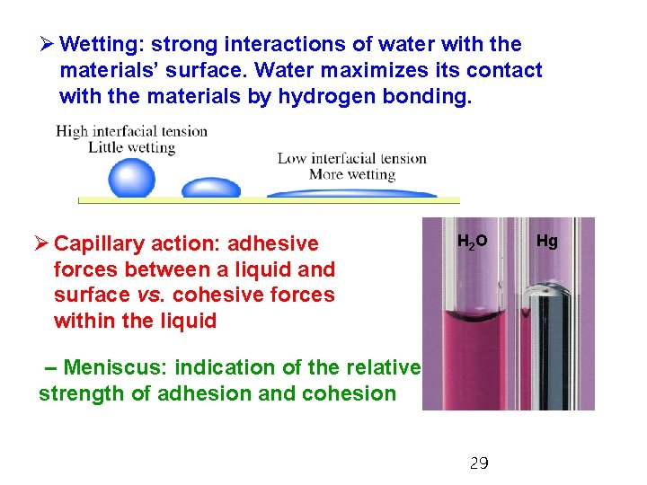 Ø Wetting: strong interactions of water with the materials’ surface. Water maximizes its contact