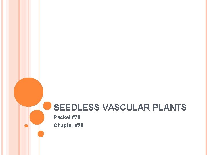 SEEDLESS VASCULAR PLANTS Packet #70 Chapter #29 