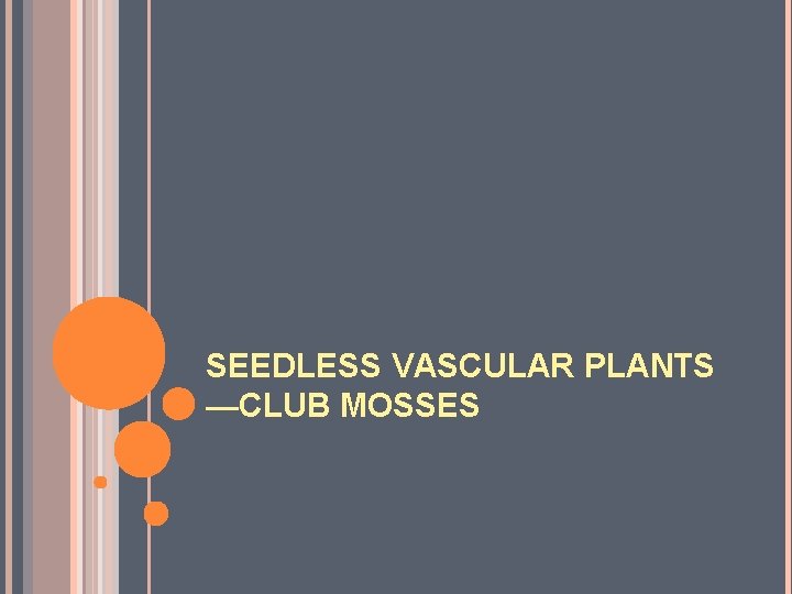 SEEDLESS VASCULAR PLANTS —CLUB MOSSES 