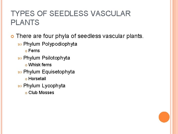 TYPES OF SEEDLESS VASCULAR PLANTS There are four phyla of seedless vascular plants. Phylum