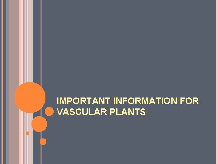 IMPORTANT INFORMATION FOR VASCULAR PLANTS 