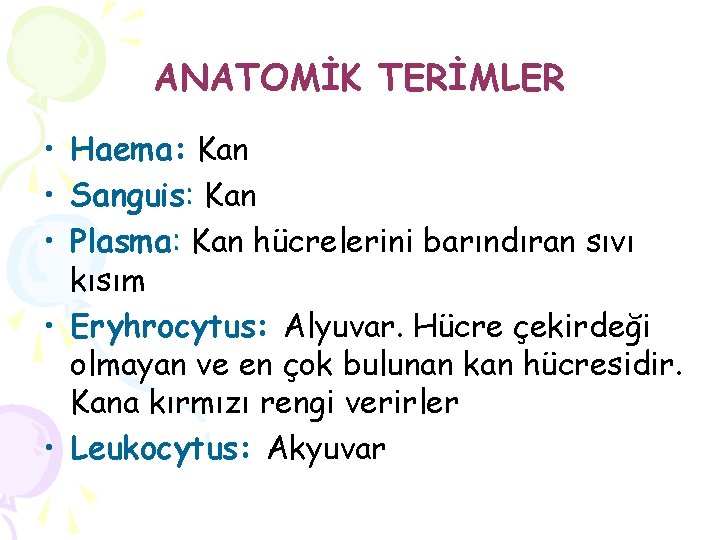 ANATOMİK TERİMLER • Haema: Kan • Sanguis: Kan • Plasma: Kan hücrelerini barındıran sıvı